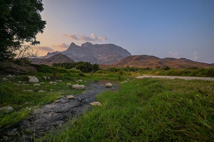 الباحة